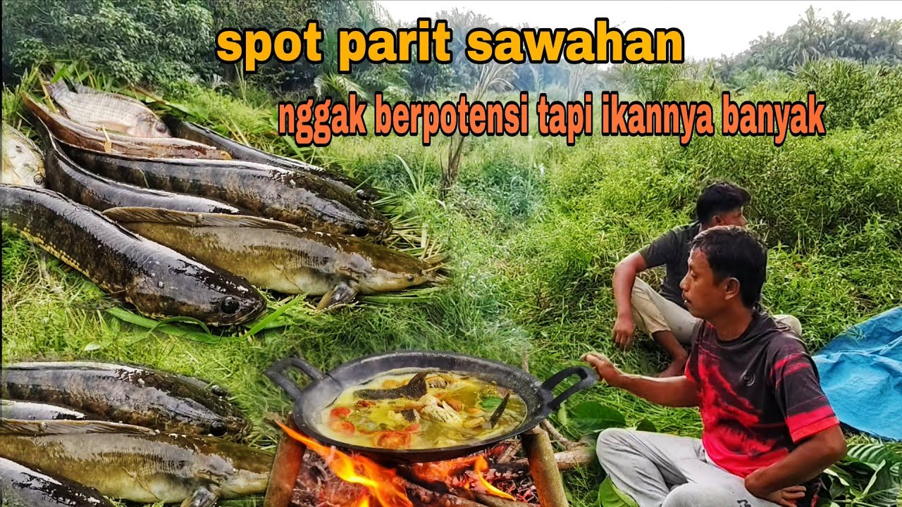 KETEMU YANG BEGINI JANGAN DI LEWATKAN || NGGAK BERPOTENSI, TAPI IKANNYA BANYAK