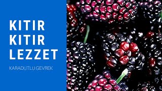 Karadutlu Gevrek