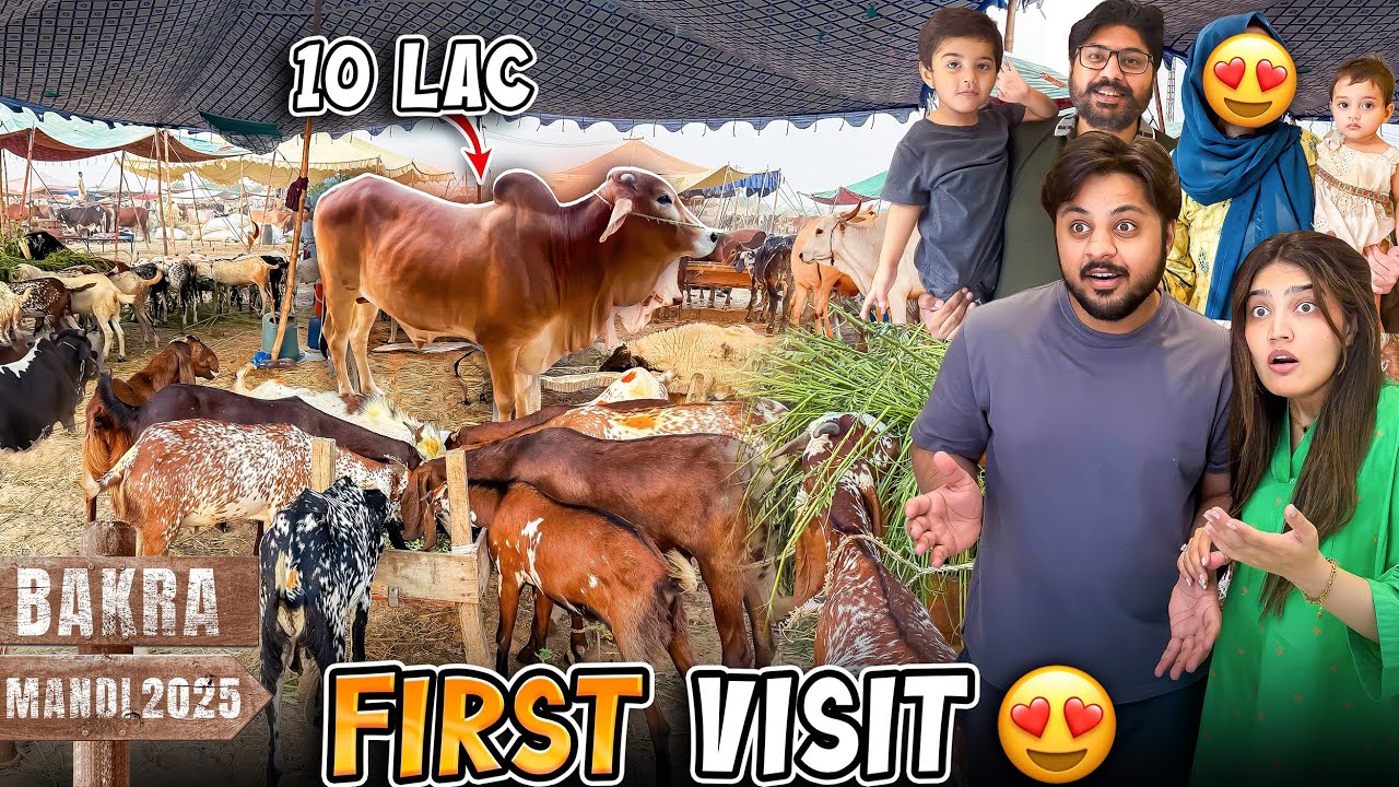10 LAC KA JANWAR PASAND AGYA 😍| Bhabhi Pehli Bar Bakra Mandi Ai 🤣🐐 | Garmi Sy Sab Ka Bura Hal Hogya🥵