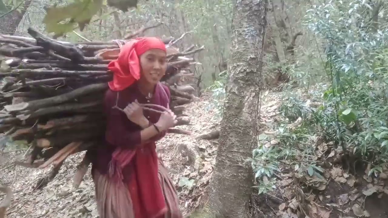लकड़ी लेने गए आज जंगल जंगल में बर्फ गली नहीं दोस्तों के साथ बर्फ में मस्ती 🥰💫🤣