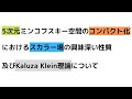 【超重力理論】コンパクト化された5次元ミンコフスキー空間におけるスカラー場について