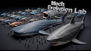 Mega Shark Size Comparison | 3D Animation