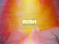 BushVEVO Live Stream