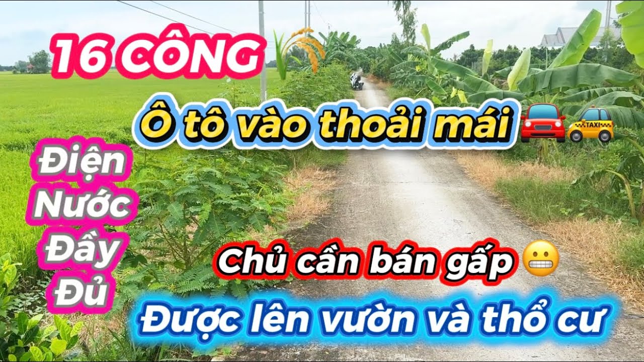 ( số 7 ) 16 công giá đầu tư - ô tô tới đất - điện nước đầy đủ tại Mộc Hoá - Long An