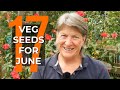 What to Sow in June | EASY to Grow Food | Self Sufficient Vegetable Garden