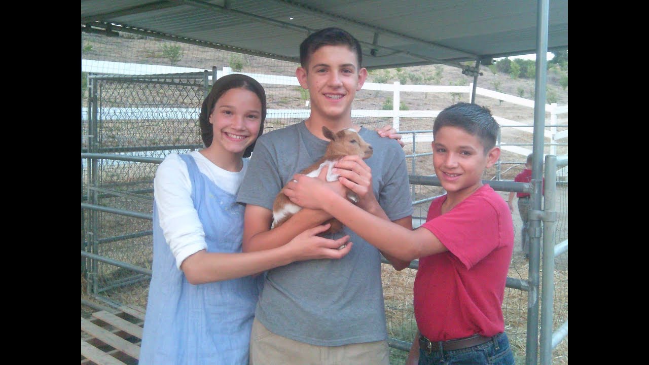 Meet Our New Additions / Garden Update / Orchard Tour