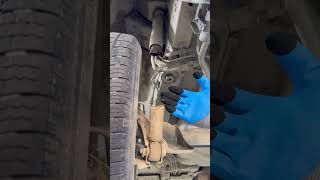 994708730807 Telman Usta Şınustası I