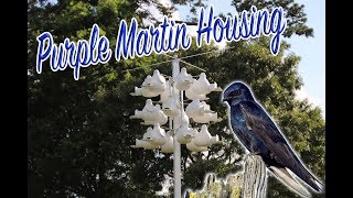 Purple Martin Housing System