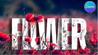 Celebrity How to Create an Overlap Text Effect & Combine Text and Photo in Canva | Easy Tutorial Profile