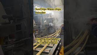 SunChips Wave chips multigrain chips extruder machinery   Frying or baking type