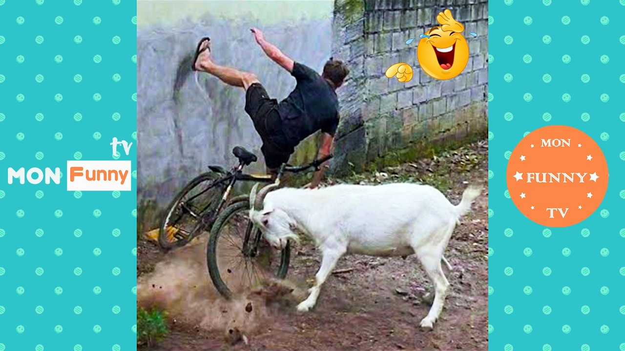 تحدي لا تضحك ???????? | أفضل المقاطع المضحكة بلا توقف | ضحك من البداية للنهاية | الجزء 7 | 2026