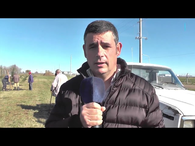 Arbolado , iluminación y fibra óptica en el parque industrial