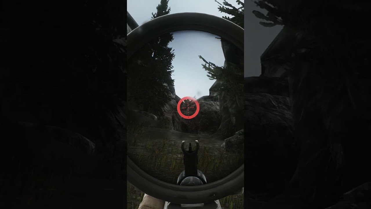 Didn't Even Hear Him #eft #escapefromtarkov #tarkov #pvp #lighhouse #punisher
