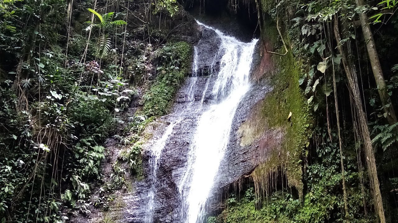 Cascada La Esmeralda (Pance) #senderismo 🔎Video realizado x Jose Luis Reyes⭐