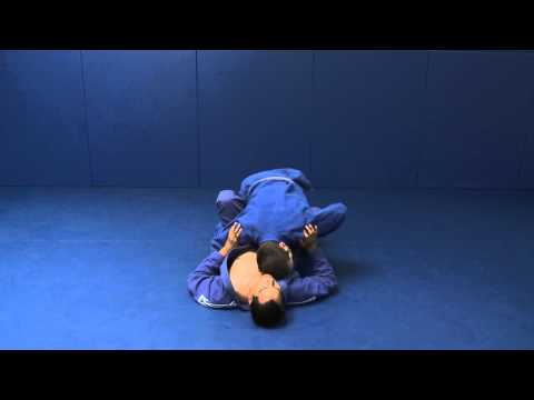 Passing - L6 - Butterfly Guard (Roger Gracie C. 20...
