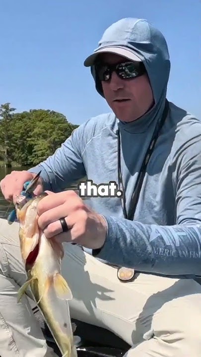 🎣 Unleash Your Inner Angler: Epic Topwater Bass Adventures! 🌊 - YouTube