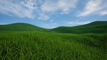 nanite foliage | grass | Unreal Engine 5