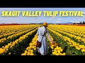 Tulip Festival Flowers Galore! Come check out the colors and Mt. Vernon. A throwback to April 2022!