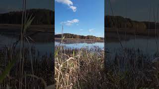 MY FIRST Time DUCK HUNTING #ducks #hunting #outdoors