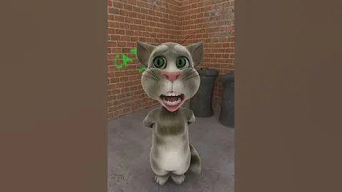 Talking tom stop copying me