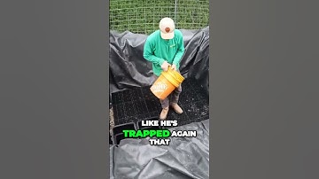 Intake Bay Filter For URR Pond