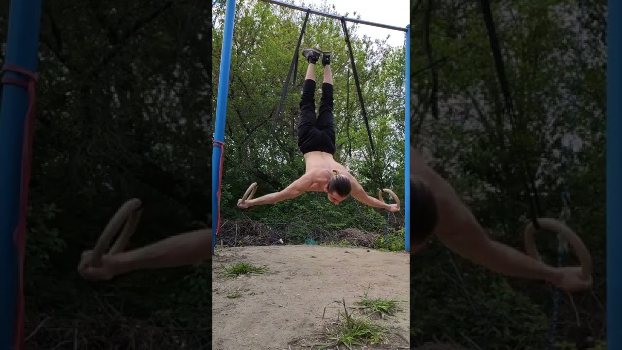 Maltese press on the rings