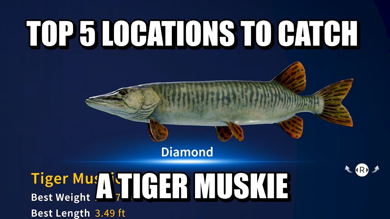 Пять лучших мест для ловли алмазного тигрового маскинга в игре Call Of The Wild: The Angler.