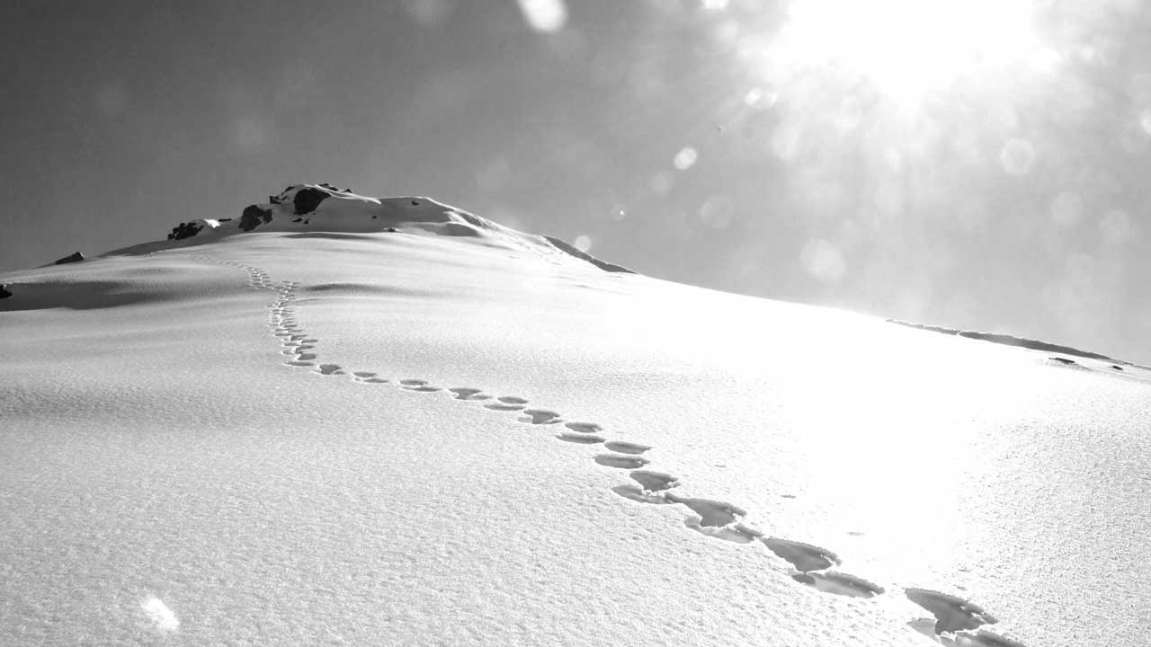 Christ The Pathfinder kiwiconnexion practical theology