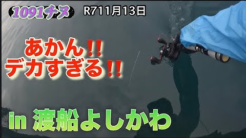 ♯124 牡蠣棚に潜む大チヌを狙って🎣
