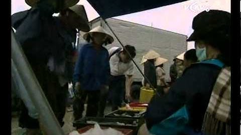 VNDNCN - Cửa Lò mùa biển gọi