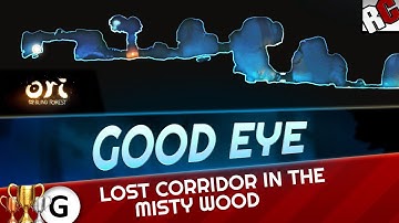 Ori and the Blind Forest - GOOD EYE Achievement Guide - Lost corridor in the Misty Woods