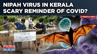 Nipah Virus Scare In Kerala: Mortality Rate Higher Than Covid-19, Warns ICMR, Here's All About It