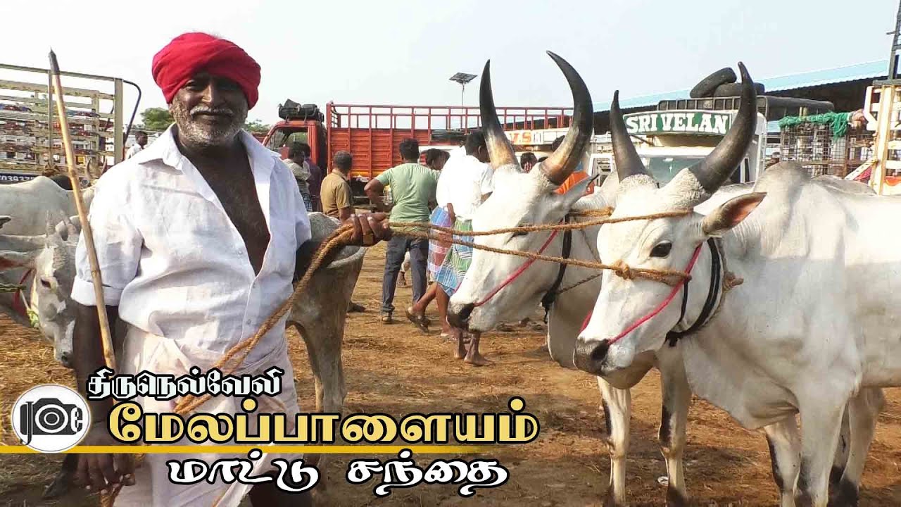 Melapalayam mattu santhai | மேலப்பாளையம் மாட்டு சந்தை