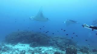 Maldives November 2021