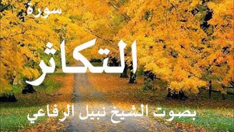 سورة التكاثر بصوت نبيل الرفاعي