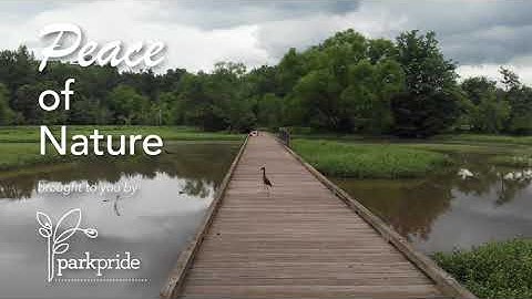 Peace of Nature - Constitution Lakes Park