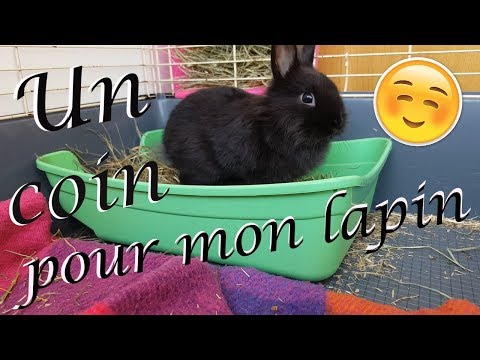 ⭐️Top 5 des meilleurs enclos pour lapin - Le meilleur pour mon Lapin