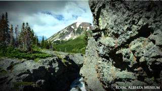 Tracking Down the Volcanoes of Ancient Alberta