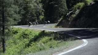 Sector 9 Downhill Division - Arizona 2015 (Part 3)