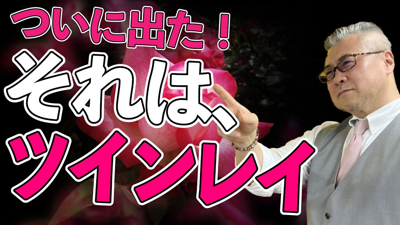 【ツインレイ男性が断言！】妙な喪失感と喜び。感情の泥沼を体験するツインレイ。ツインレイ女性はぜんぜん違うんだよ！別格なの！