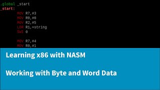 Learning x86 with NASM - Working with Byte and Word Data