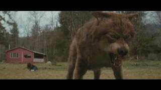 Twilight New Moon In Under 5 Minutes Spoiler Alert