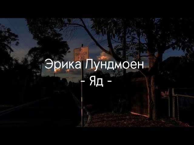 Эрика Лундмоен {Erika Lundmoen} ~ яд {Yad} Russian and English lyrics - Speed up song class=