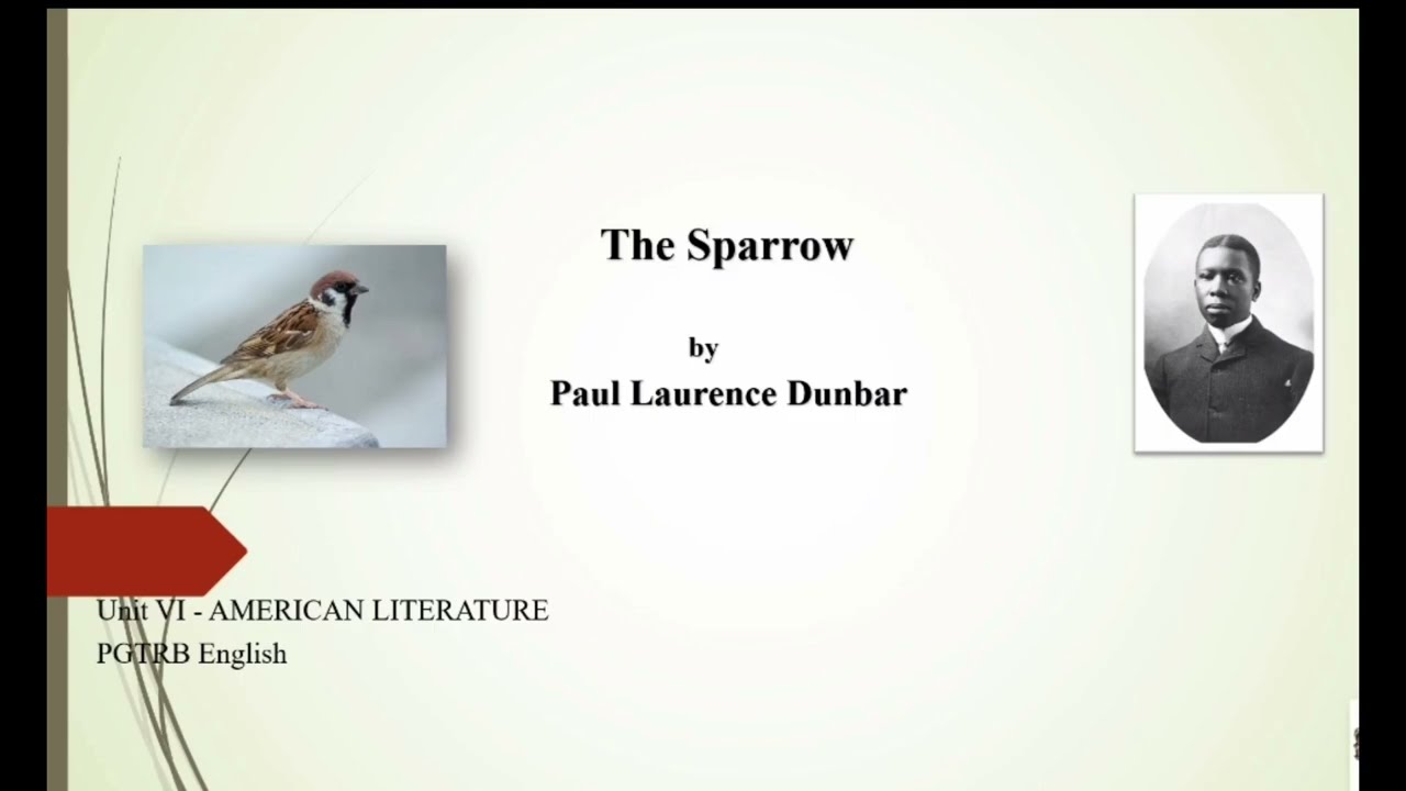 The Sparrow by Paul Laurance Dunbar/ Explanation in Tamil #poem #pgtrb 