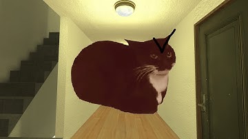 Angry Maxwell Cat Nextbot Gmod