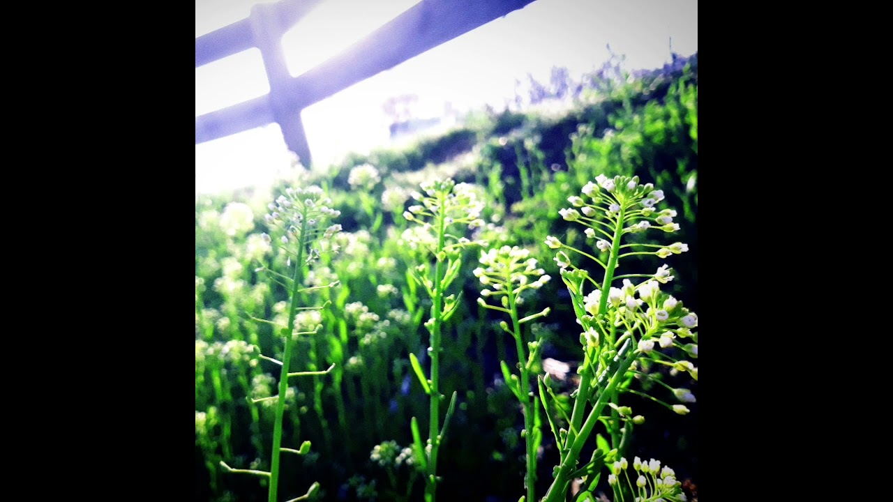 Truthwing - Against the Hourglass