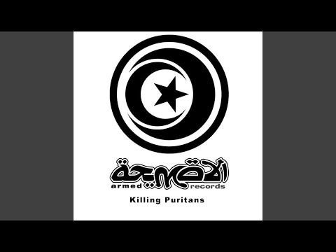 Little Black Spiders