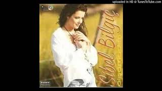 Sibel Bilgiç-Alışamadım(İnstrumental Karaoke) 1997 Resimi