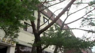 결혼의 여신 9회 #41(9)