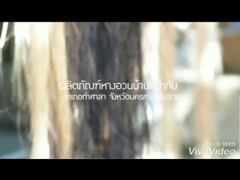 ผลิตภัณฑ์จากหางอวน วิชาชีวิตกับสังคมไทย(30000-1501) วิทยาลัยสารพัดช่างนครศรีธรรมราช